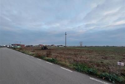 Teren pentru proiect rezidential sau industrial in Sanpaul - 4