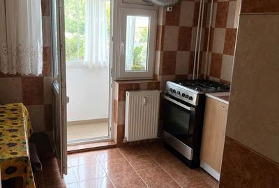 Apartament cu 2 camere decomandat în Craiovița Nouă - 3