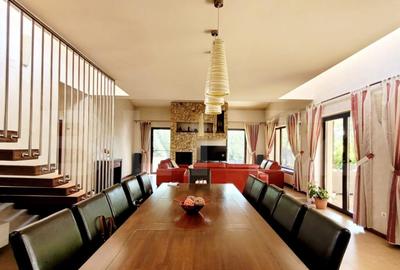 Casa deosebita, 5 camere, 800 mp teren, zona Bogdanestilor - 18