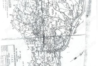 Teren pentru constructii PADURE. Vanzare Colaborare - Inchiriere - 3