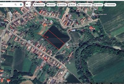 Teren Construcții intravilan de 7342 mp, în Alma - 3