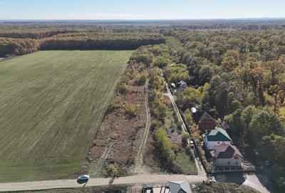 Snagov padure - Teren intravilan cu PUZ aprobat - 6