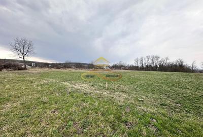 Teren Construcții intravilan de 11021 mp, în Blăgești - 4