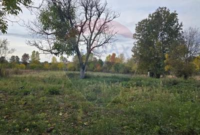 Teren generos cu potential in comuna Silindia, judetul Arad - 5