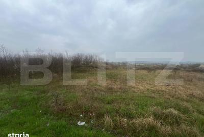 Teren de 4650 mp, în Almăj - 2