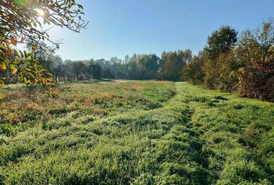 Casă cu 4 camere în Tinca - 1
