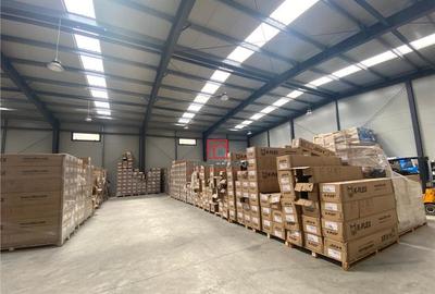 Depozit/hala/spatiu industrial Mogosoaia - Chitila, ILFOV - 4