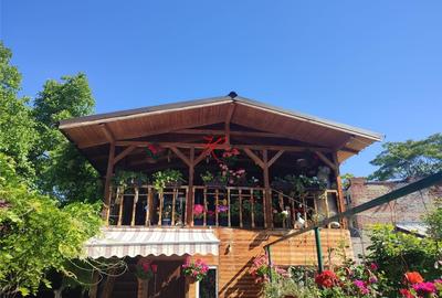 Doua camere in vila, pet friendly - 8