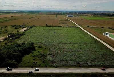 Parcele teren industrial cu PUZ - 2.700 mp, Giarmata - 1