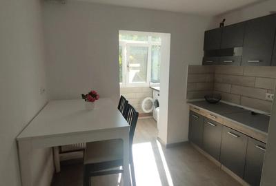 Apartament 2 camere Eremia Grigorescu - 8