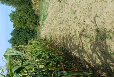 Teren agricol sat.Voroveni - 9