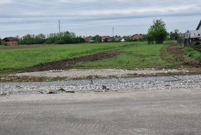 Teren de 5000 mp, în Biharia - 4