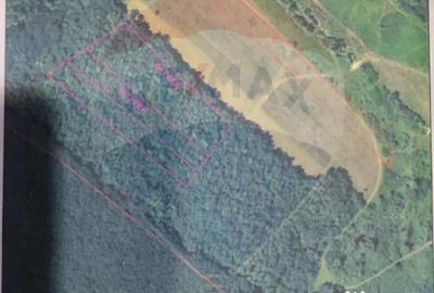 Teren în Sântimreu - 10