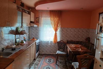 Tineretului