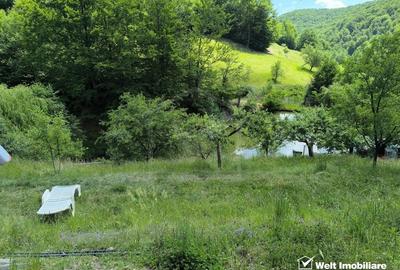 Casa de vacanta, cu lac, 5640 mp teren, Huta, com. Chiuiesti, jud. Cluj Casa de vacanta, cu lac, 5640 mp teren, Huta, com. Chiuiesti, jud. Cluj - 25