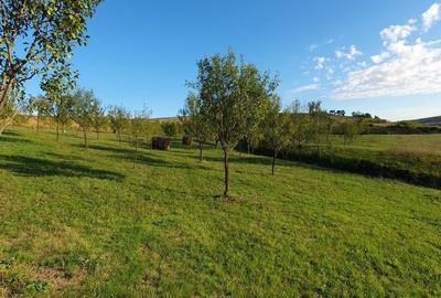 Spațiu comercial, în Aluniș - 8