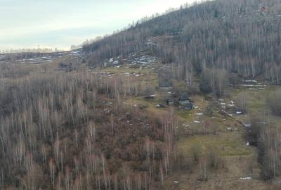 Teren de 15000 mp, în Plopi - 7