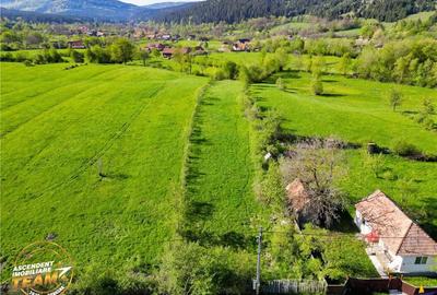 FILM! 2.063 mp de refugiu natural in localitatea Zagon, Covasna - 4