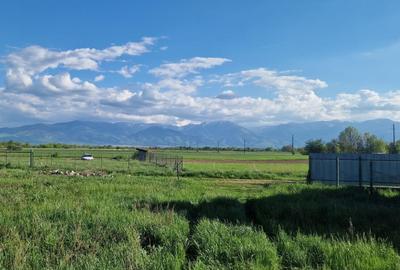 Casă cu 4 camere în Central - 2