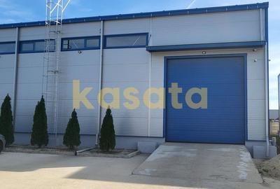 Spatiu de depozitare/productie de inchiriat - Zona de Vest Spatiu de depozitare/productie de inchiriat - Zona de Vest - 2