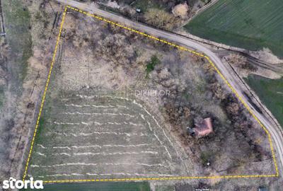 Teren de 11600 mp, în Ceuaș - 2