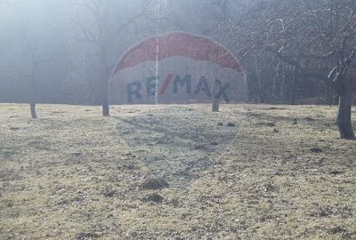 Teren Construcții intravilan de 10279 mp, în Predeluț - 2