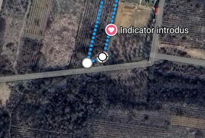 Teren de 600 mp, în Cârcea - 4