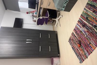 Apartament cu 3 camere decomandat în Banat - 3