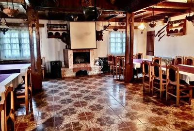 Casă cu 5 camere cu Teren 4500 Mp în Schitu Duca - 5