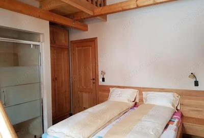 Vanzare proprietate mobilata ?i utilata, situata in sta?iunea montana Ranca - 2