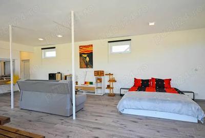 Casa Open Space - Halchiu Satu Nou - Brasov - 7