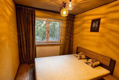 Apartament de inchiriat, cu 2 camere zona Smith - 5