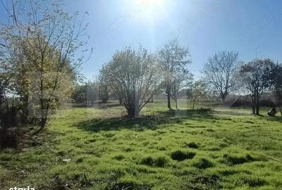 OPORTUNITATE TEREN 0,9 Ha intravilan constructii+extravilan - 5