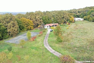 Proprietate exclusivista cu 60.000 mp teren ?i padure - 3