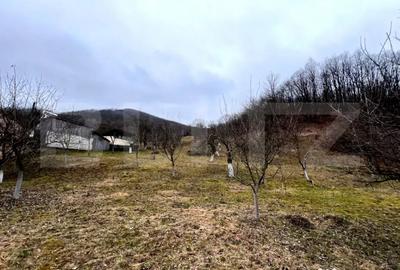 Teren în Stremț - 3