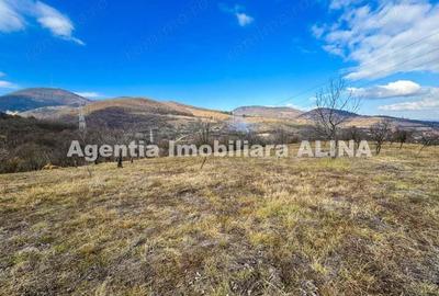 15 parcele de Teren intravilan in Deva, zona Calugareni, Strada Prunilor, Jud. Hd, cu PUZ, PUD, etc. - 3