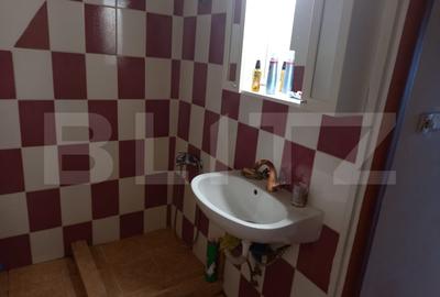 Casa renovabila, 280 mp teren, Gruia Casa renovabila, 280 mp teren, Gruia - 10