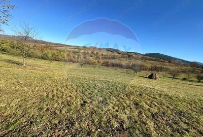 Teren de 5325 mp, în Rona de Jos - 1