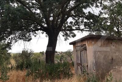 Casă individuală cu 5 camere cu Teren 1008 Mp în Exterior Vest - 5