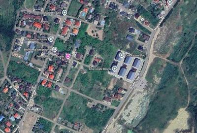 Spațiu comercial, în Vișan - 1