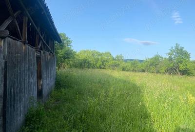 Casă cu 3 camere în Copăceni - 3