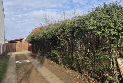 Casa Saftica/Balotesti - 32