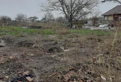 Teren de 2443 mp, în Vișina - 6