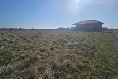 Teren de 660 mp, în Șag - 3