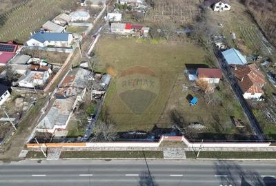 Teren de 3700 mp, în Satu Nou (Panciu) - 2