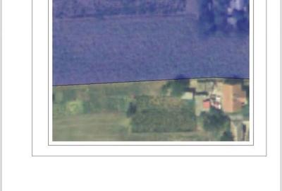 Teren de 3950 mp, în Viișoara - 1