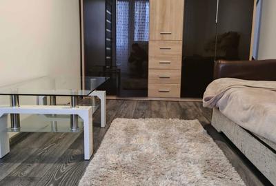 Apartament cu 2 camere semidecomandat în Mănăștur - 3