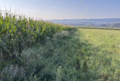 Arendez Inchiriez Preiau in arenda teren Zona Cluj - 1