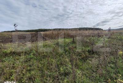 Spațiu comercial, în Central - 1