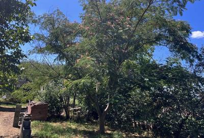 Casă cu 4 camere în Lipova - 3